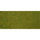  Heki 1861 Foglio erba "wildgras" 45x17 cm