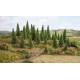 Noch 26920 Alberi di abete 10 pezzi h 5-14 cm